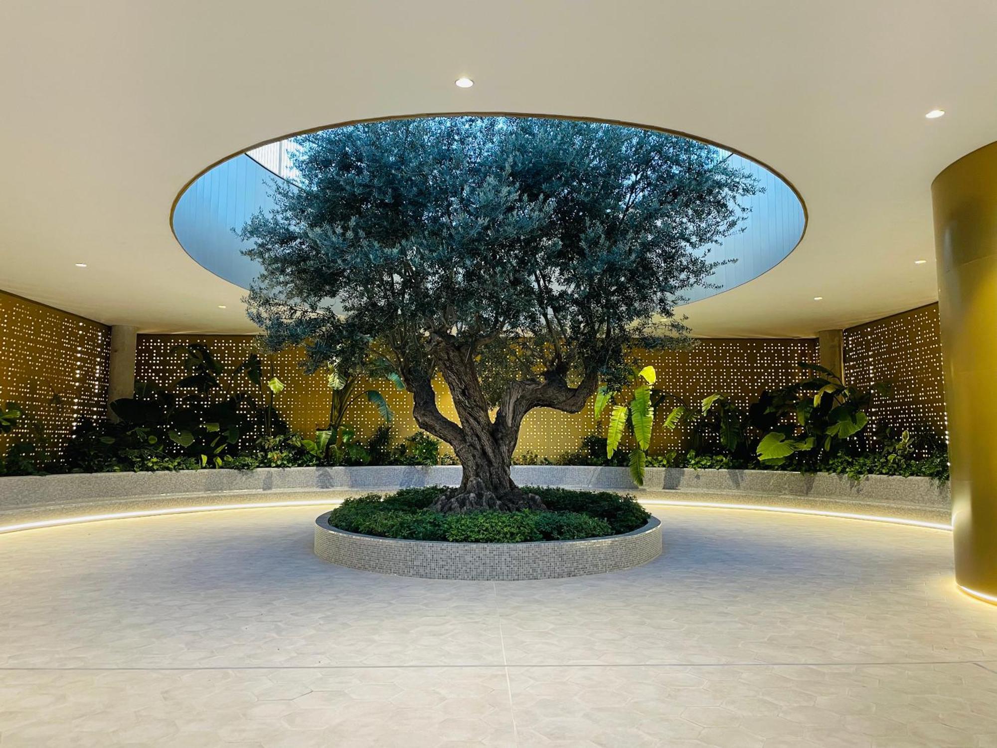 Appartement Intempo Sky: Surcando El Cielo *